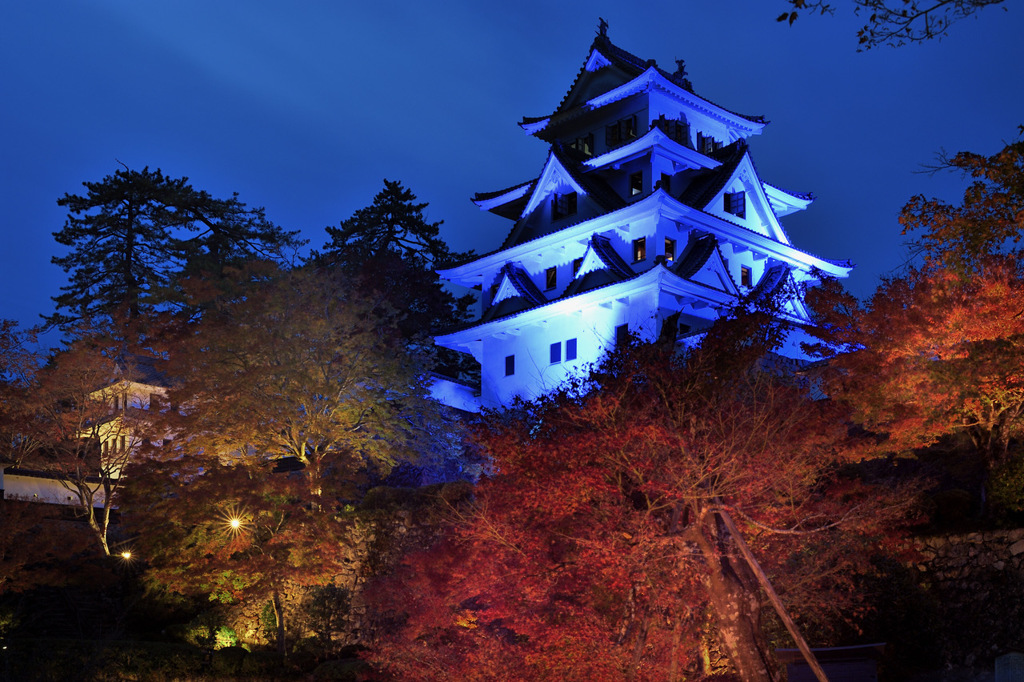 郡上八幡城