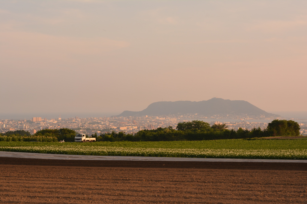 函館の夕景