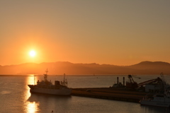 函館ともえ大橋からの夕景１