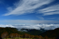DSC_9846_00001