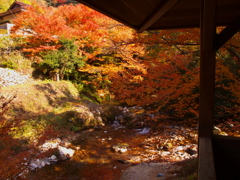 紅葉狩り