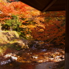 紅葉狩り