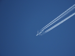 飛行機