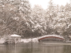 雪景色