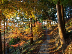 紅葉