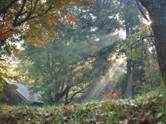 紅葉狩りにて