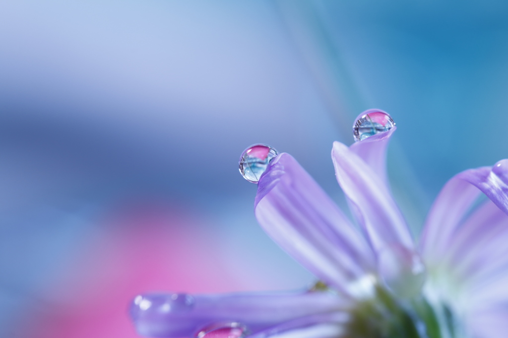 Atmosphere
