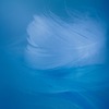 蒼い世界