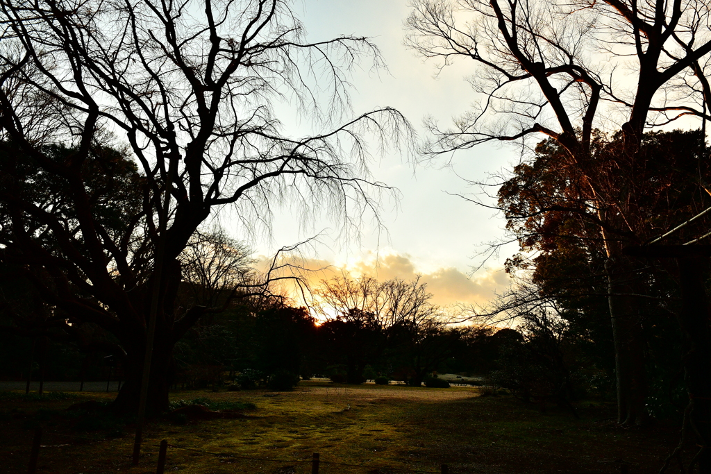 黄昏の六義園