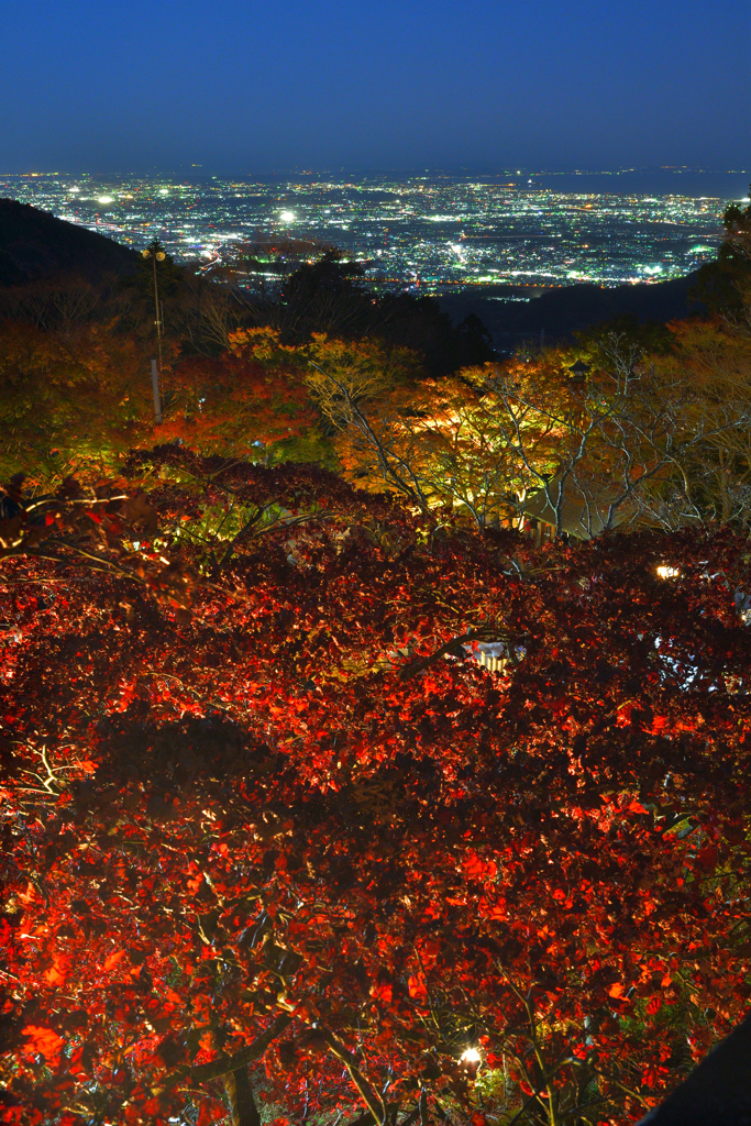 秋の夜景