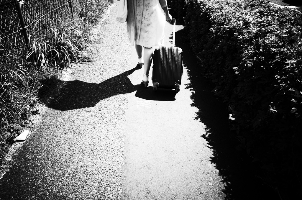 shadow