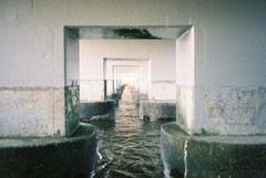 橋下の海