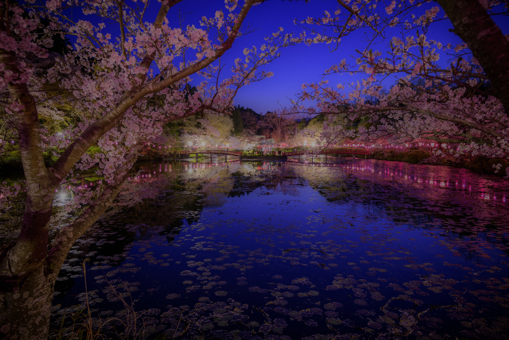 春の夕べ
