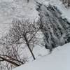 北の大地 2019 #9