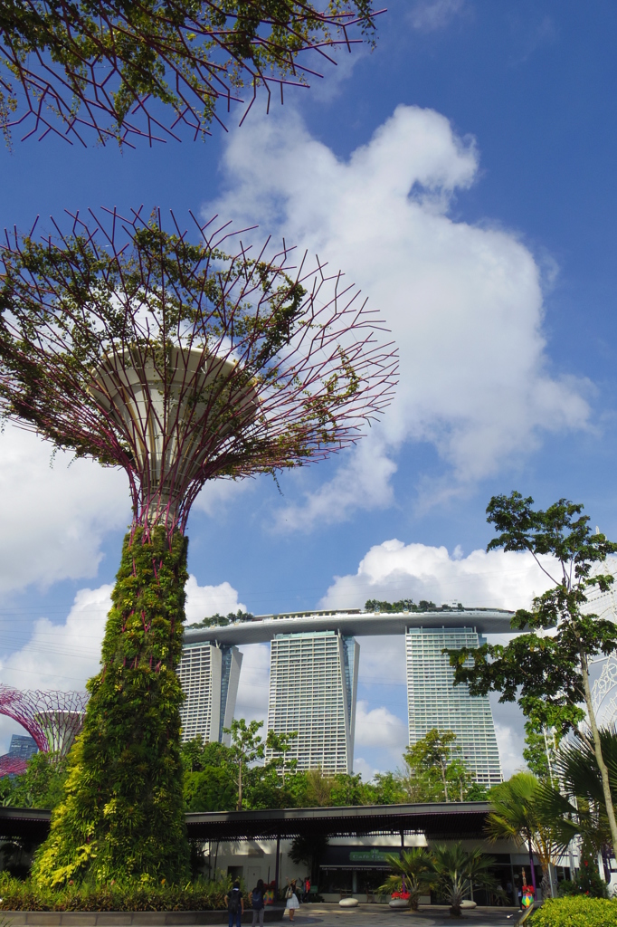 Marina Bay Sands