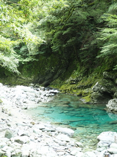 高知 仁淀川①