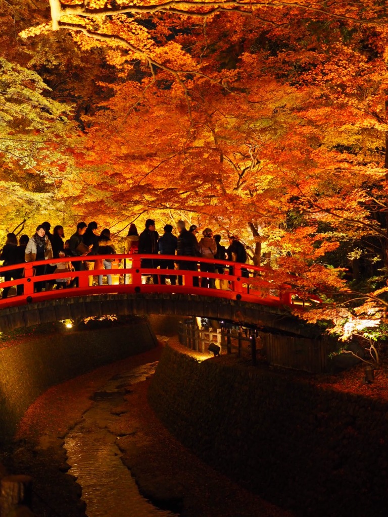 京都 北野天満宮④