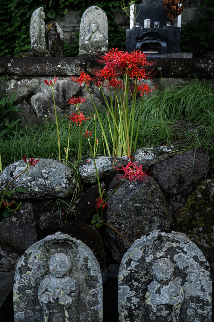 墓の花