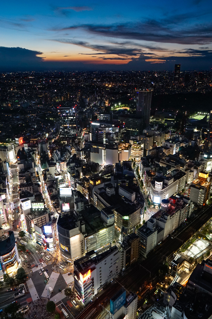 渋谷スカイ②