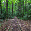 大畑森林鉄道