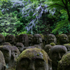 京都1