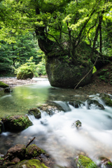 ネコバリ岩