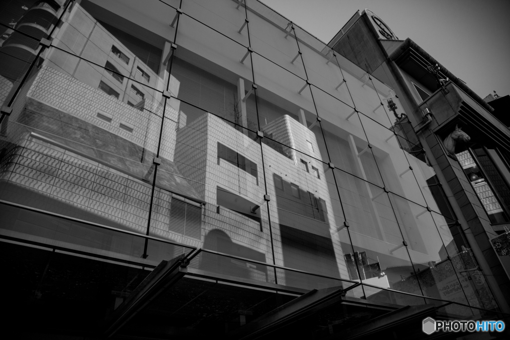 写り込み。