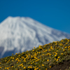 1月14日の富士山。【春はまだかな？煙突無し。(⌒-⌒; )】