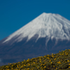 1月14日の富士山。【春はまだかな？】