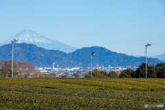 富士山と扇風機…。
