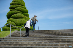 お母さん！トンボだよ。