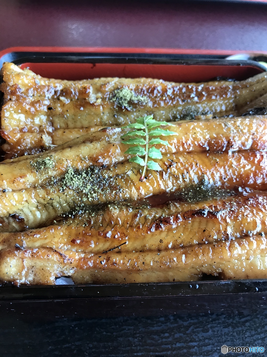 浜名湖天然うなぎ。