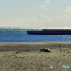 海と堤防…。