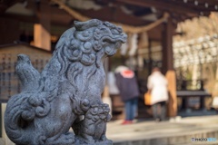 御殿場 神場山神社にて。