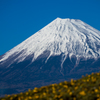 1月14日の富士山。【スッキリ】
