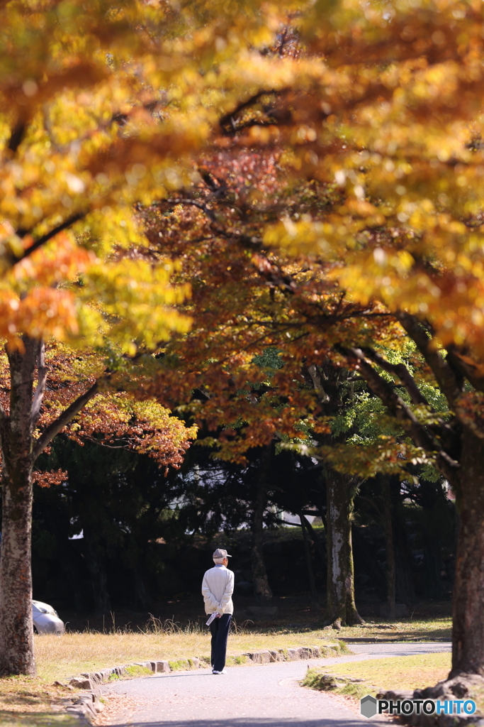 これぞ男の花道言うことなし　～錦秋きたる2019～