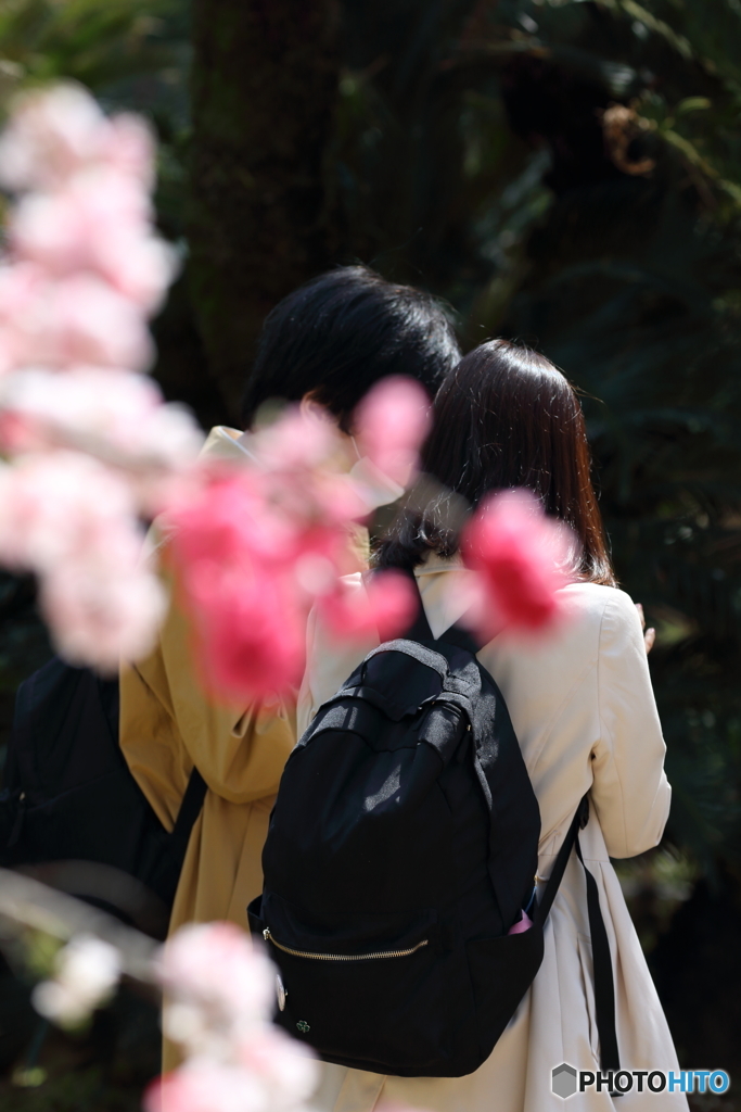 うららかな日の人々