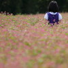 秋の気配　～赤蕎麦畑の少女～