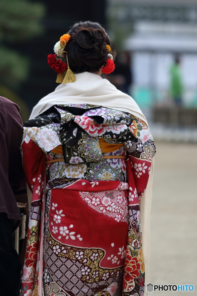 新成人123万人