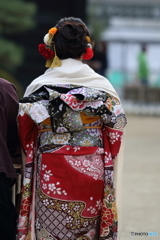 新成人123万人
