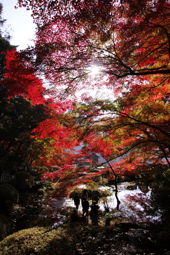 吉水園