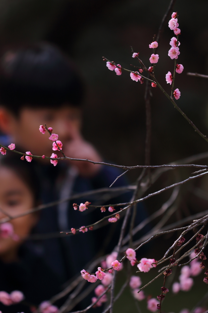 令和を生きる子たち