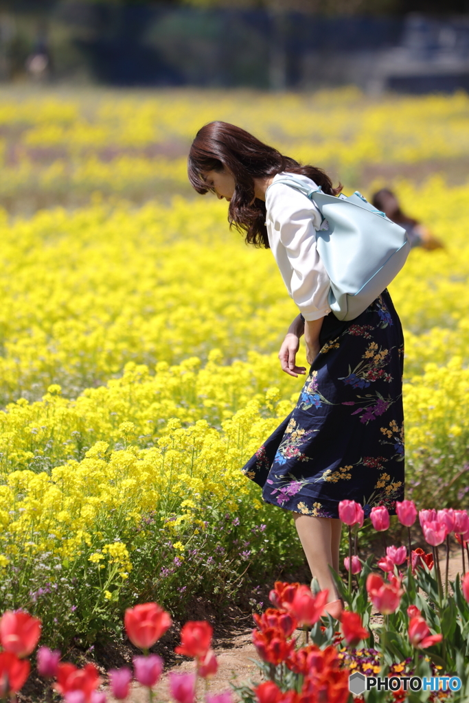 花のような人 菜の花畑編 By S9000 Id 写真共有サイト Photohito