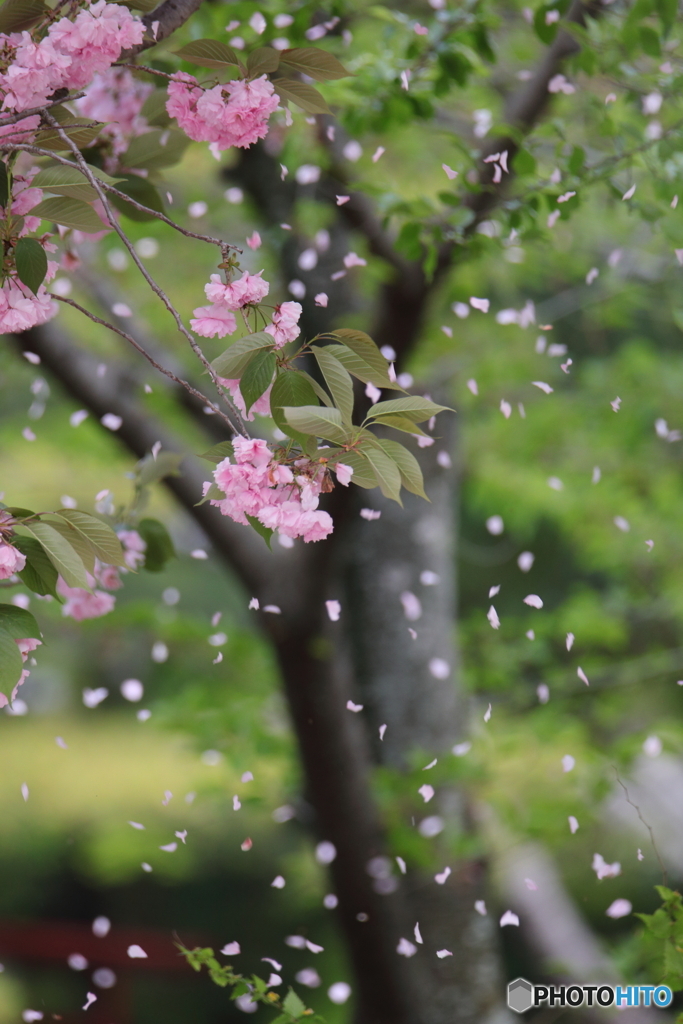 風とともに４月が去りぬ