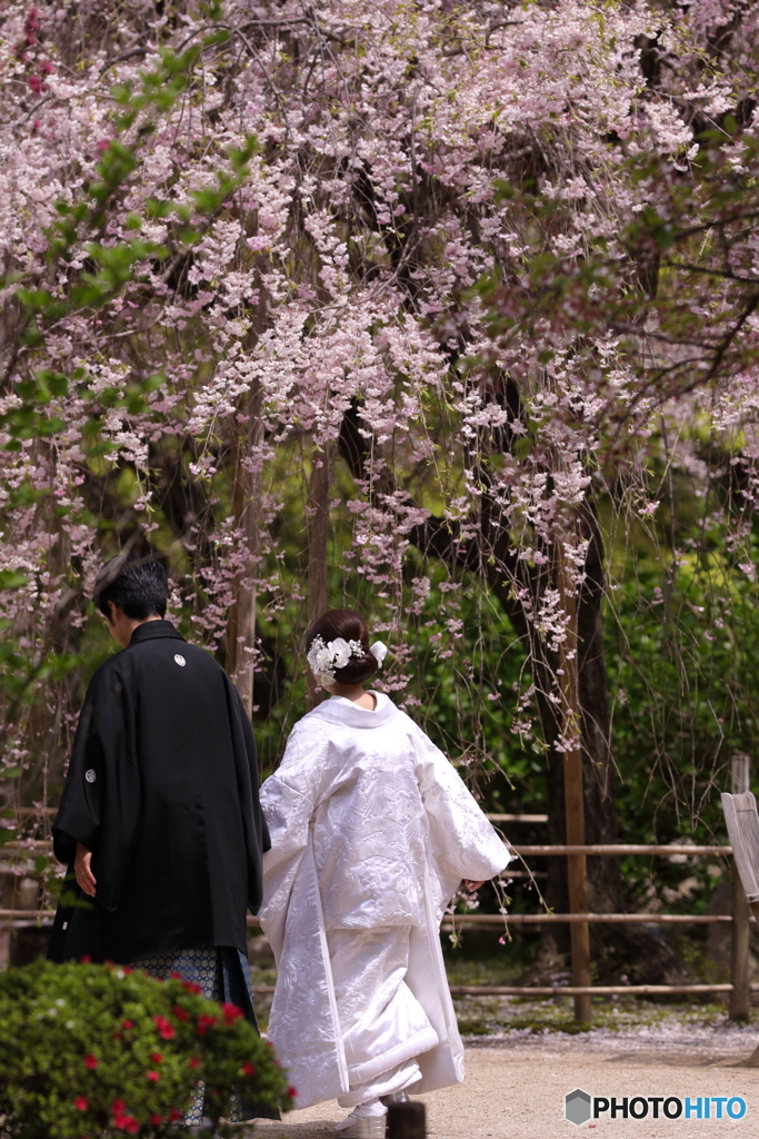 これぞ夫婦の花道言うことなし