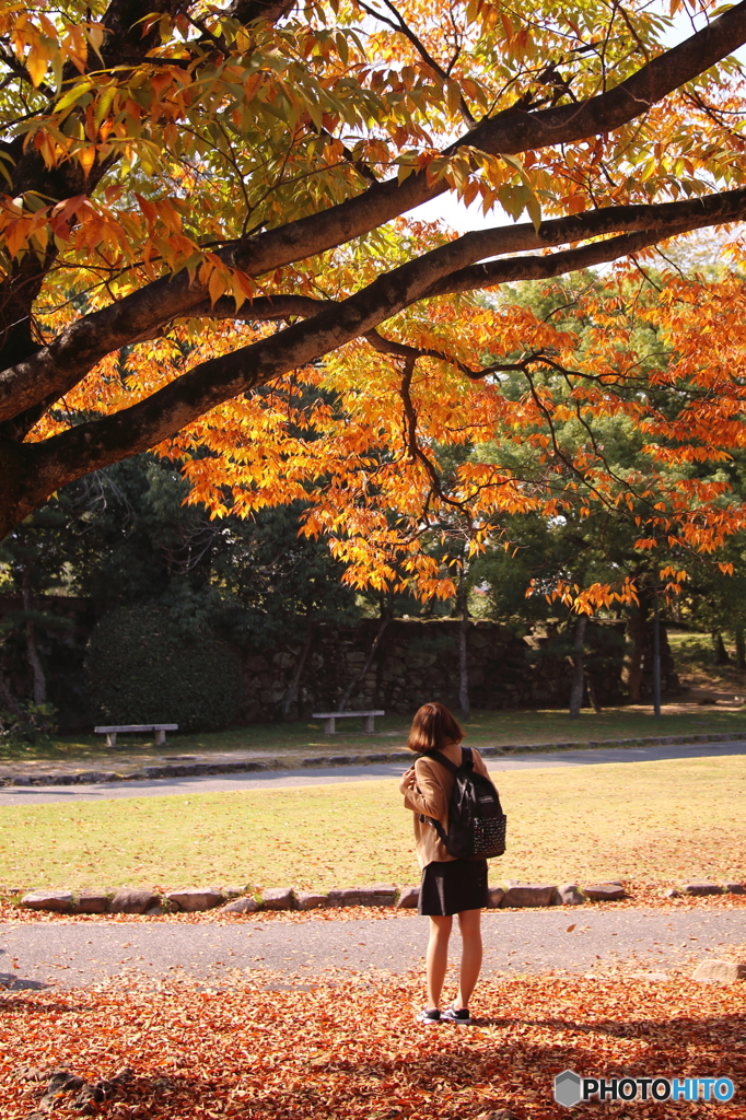 花のような人　～紅葉にも勝る輝きの人～