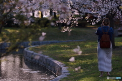 花のような人　～桜の精編～