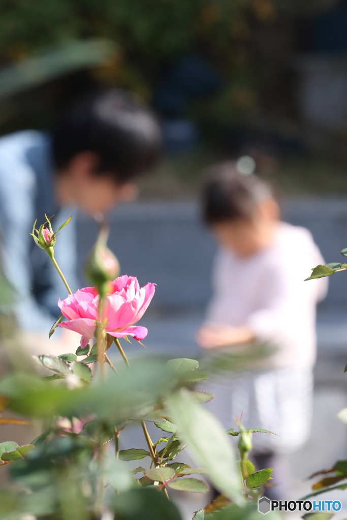 命はめぐる