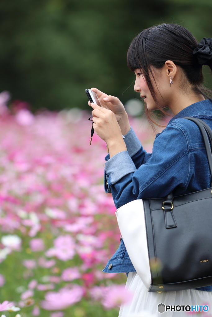 花のような人　～コスモスもかすむ美しい方～