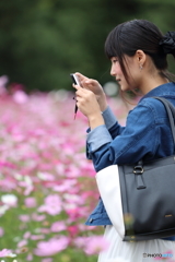 花のような人　～コスモスもかすむ美しい方～